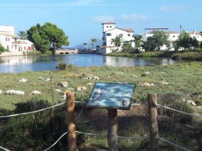 Ferienwohnung La Gola House Port de Pollença Exterior foto